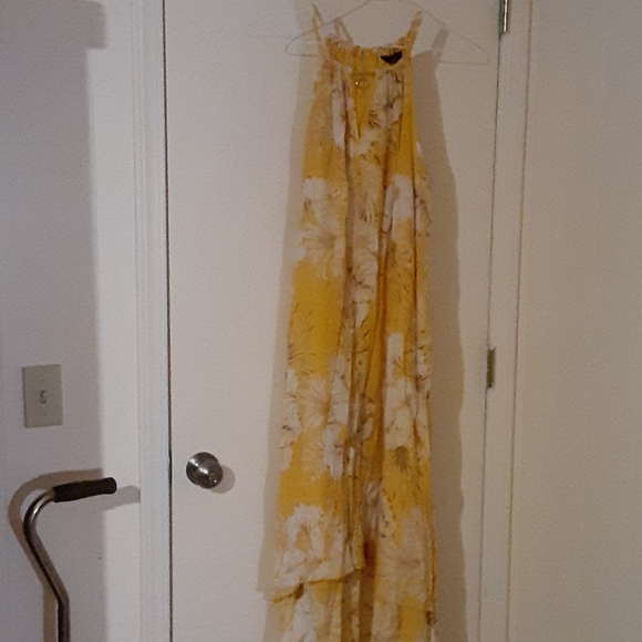 Mlle Gabrielle Dresses & Skirts - Beautiful size 2x dress + FREE GIFT